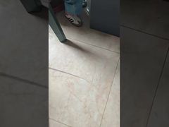 DLX Medisch platina-iridium capillair