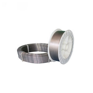 Goede prijs Nichrome 90 Verwarmingsdraad spoelen Ni90cr10 Ni90 Draad In Temperatuur Sensoren online