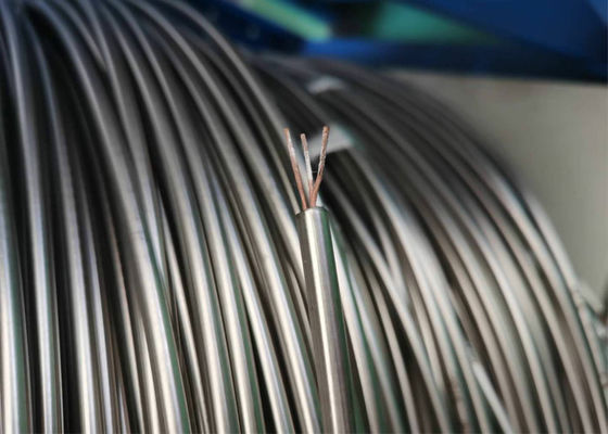 Goede prijs Het Type T MI van SS316 12.7mm TP TN de Mineraal Geïsoleerde kabel van het Kabelthermokoppel online